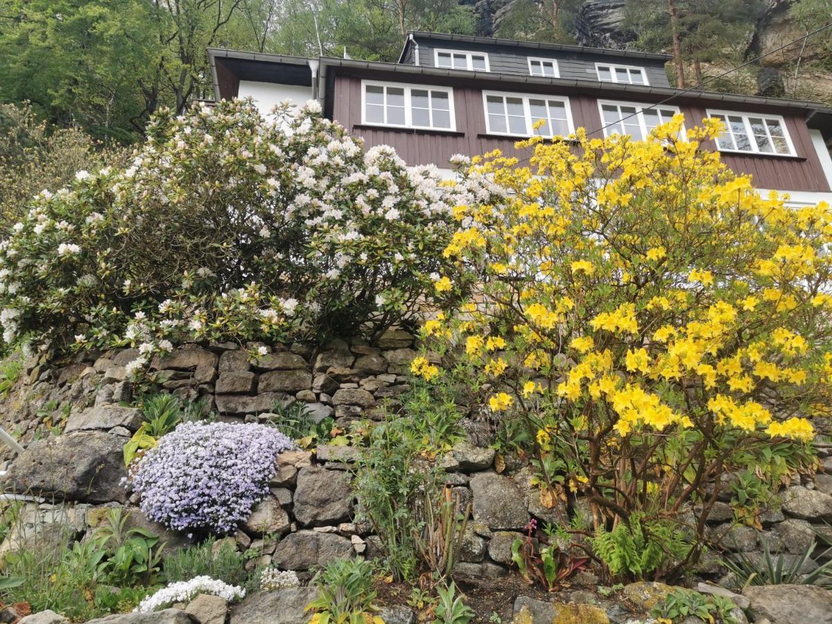 Villa Belvedere  Rathen Eksteriør bilde